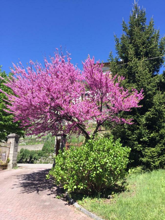 Como Country House Cavallasca Екстер'єр фото